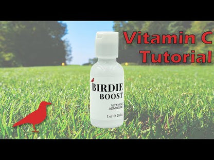 SKINCARE ADMIXTURE | BIRDIE Boost V|C (Vitamin C Powder)